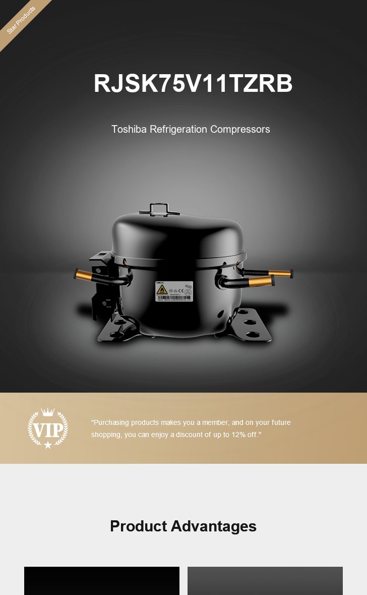 Toshiba Compressor RJSK75V11TZRB, technical parameters pdf, structure diagram